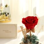Cheap, Last Minutes Valentine Day Gift For Her