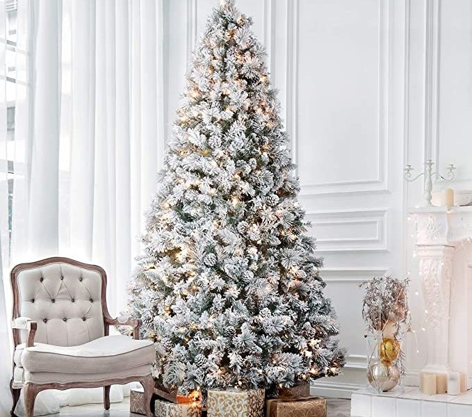 Most Beautiful Christmas Trees to Buy In 2022