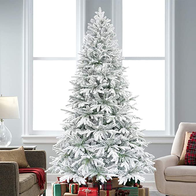 15 Most Beautiful Christmas Trees to Buy In 2022