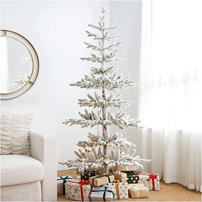 15 Most Beautiful Christmas Trees to Buy In 2022