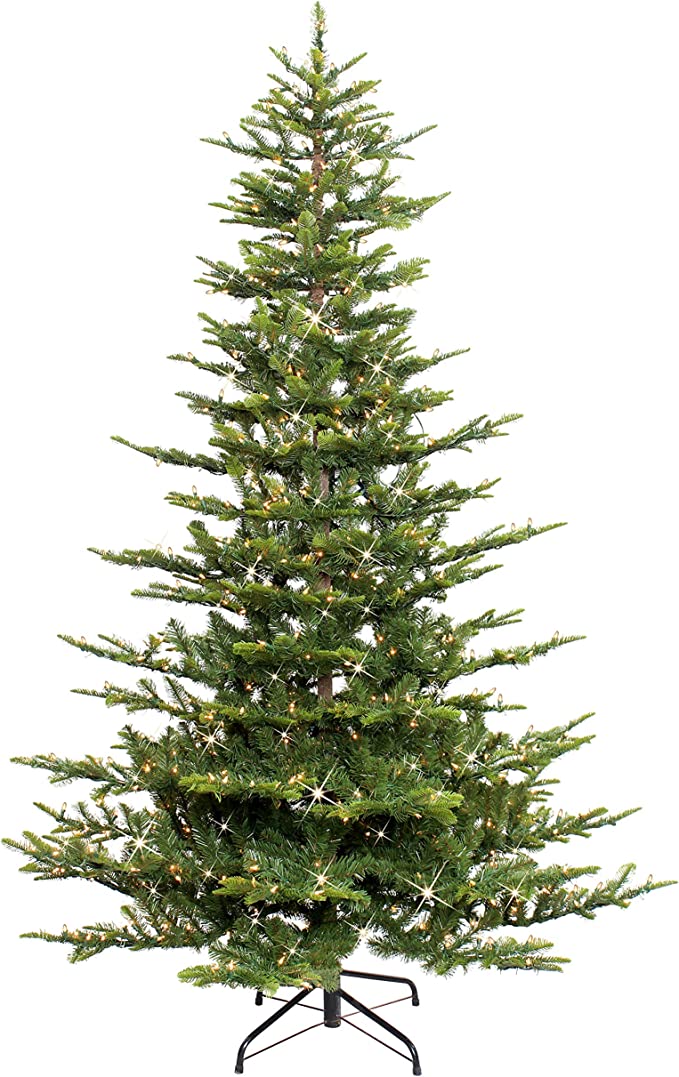 15 Most Beautiful Christmas Trees to Buy In 2022