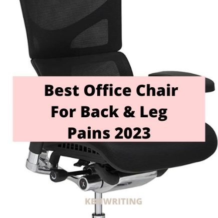 Best Office Chair For Back & Leg Pains 2023