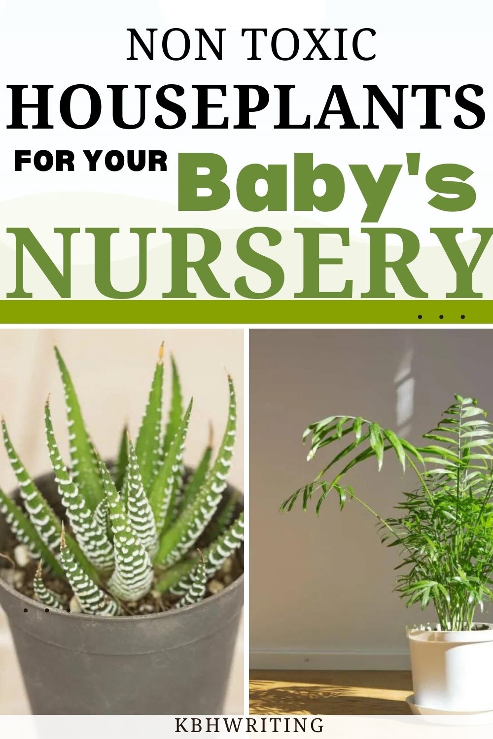 Non-Toxic HousePlants for Your  Baby’s Nursery