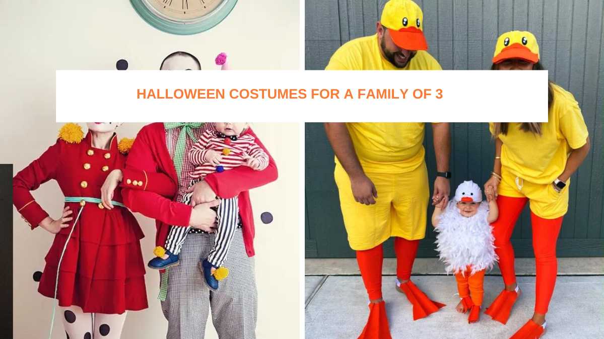 Family Halloween Costumes For 3 People