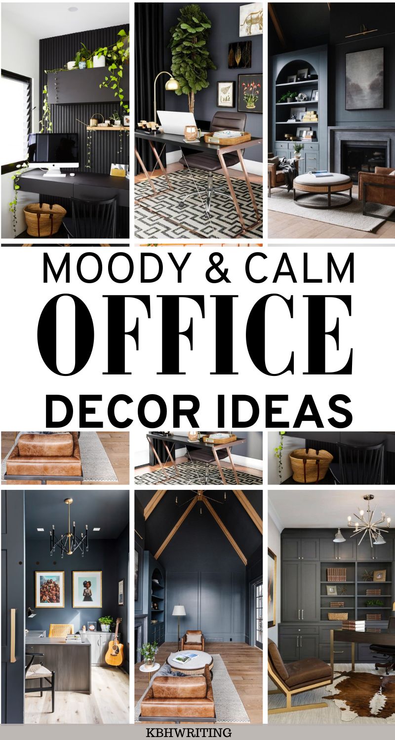 Dark & Moody Office Design 