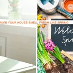 10 Simple Ways to Make Your Home Smell Fresh Like Spring
