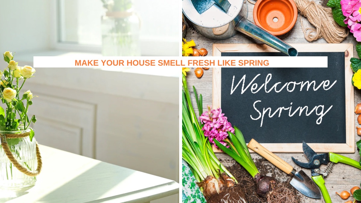 10 Simple Ways to Make Your Home Smell Fresh Like Spring